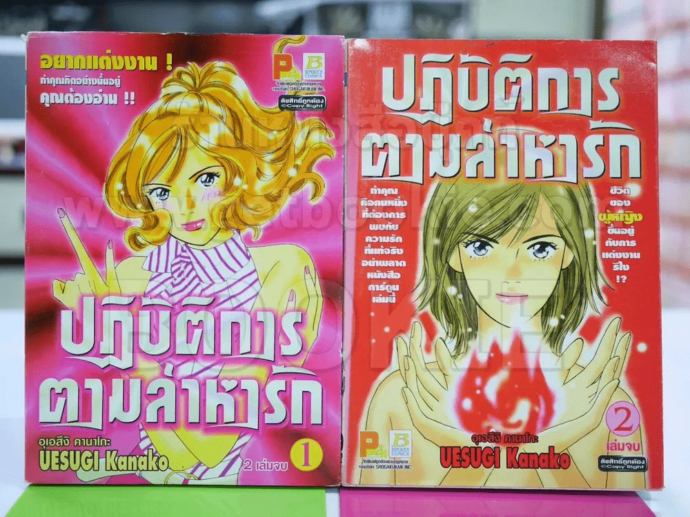 ปฏิบัติการตามล่าหารัก 2 เล่มจบ รูปที่ 1