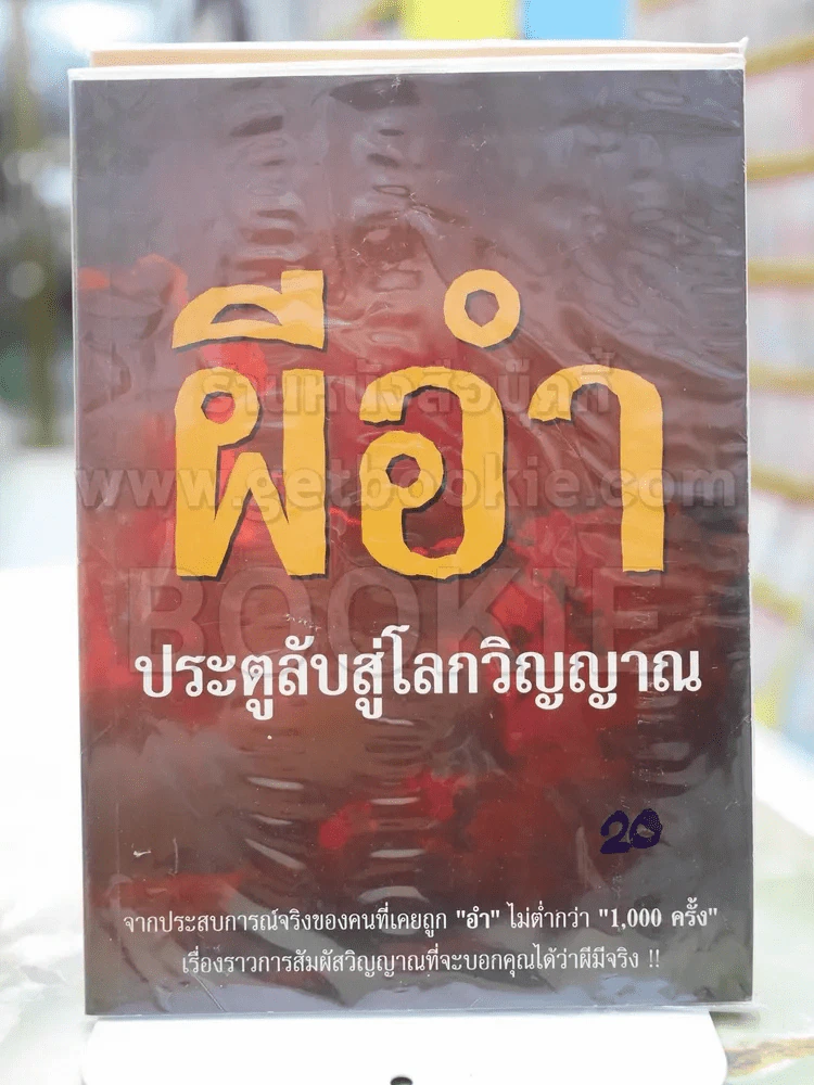 ผีอำ ประตูลับสู่โลกวิญญาณ รูปที่ 1