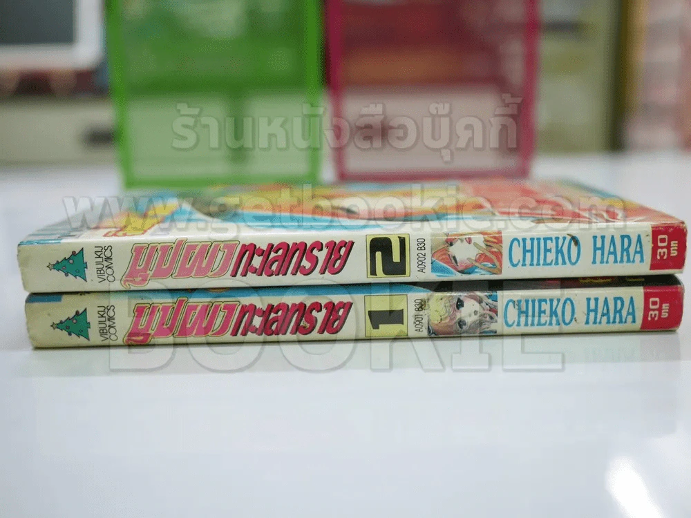 บุปผาทะเลทราย 2 เล่มจบ รูปที่ 2
