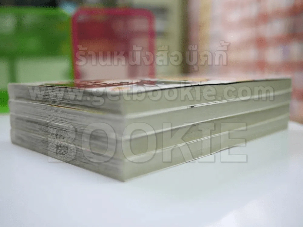 รักแท้ของเจ้าแม่นักบู๊ ภาค 2 4 เล่มจบ รูปที่ 4