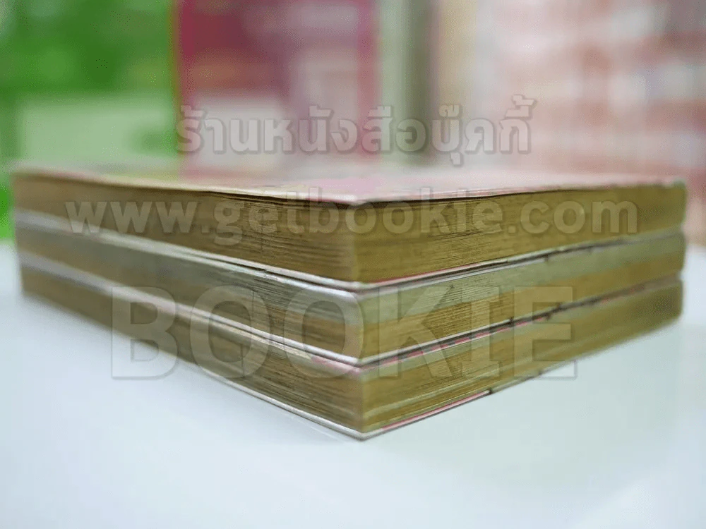 Messiah Half เมสไซอา ฮาล์ฟ 3 เล่มจบ รูปที่ 3