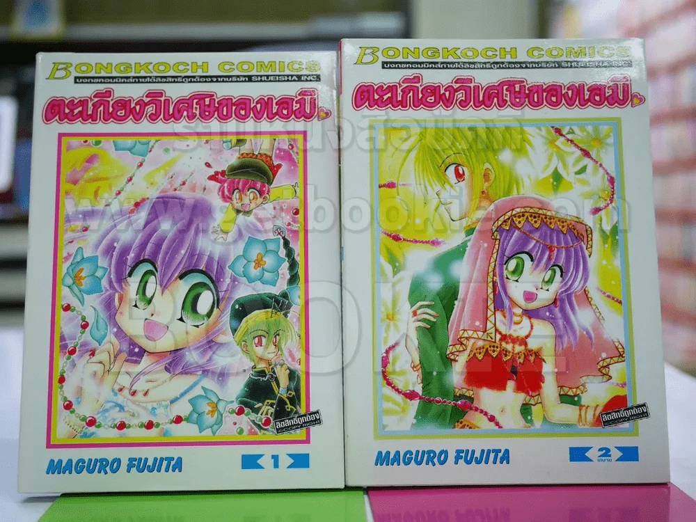 ตะเกียงวิเศษของเอมิ 2 เล่มจบ รูปที่ 1