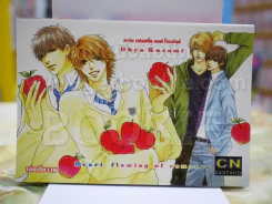 ฮาร์ท เฟลมมิ่ง ออฟ โรแม้นซ์ Heart flaming of romance รูปที่ 1
