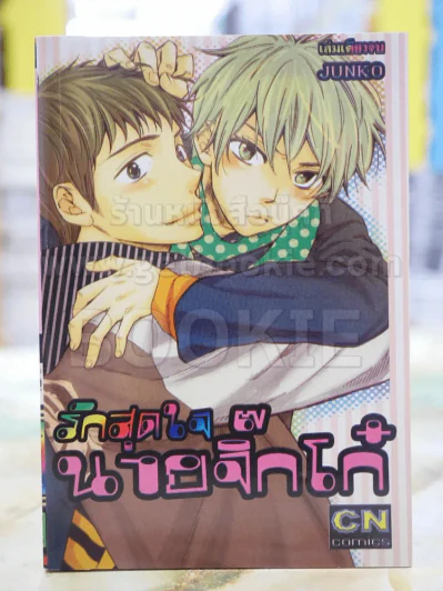 รักสุดใจ นายจิ๊กโก๋ รูปที่ 1