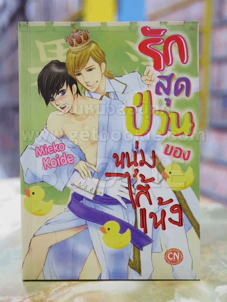 รักสุดป่วนของหนุ่มใส้แห้ง รูปที่ 1