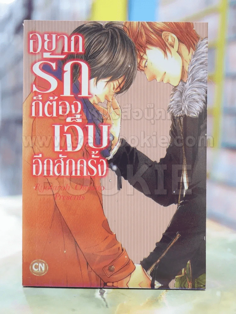 อยากรักก็ต้องเจ็บอีกสักครั้ง รูปที่ 1