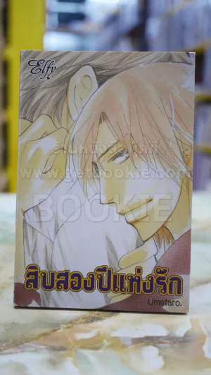 สิบสองปีแห่งรัก รูปที่ 1