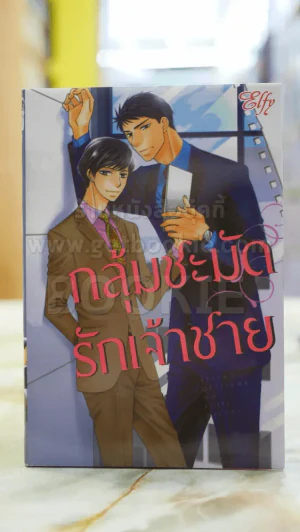 กลุ้มชะมัดรักเจ้าชาย รูปที่ 1