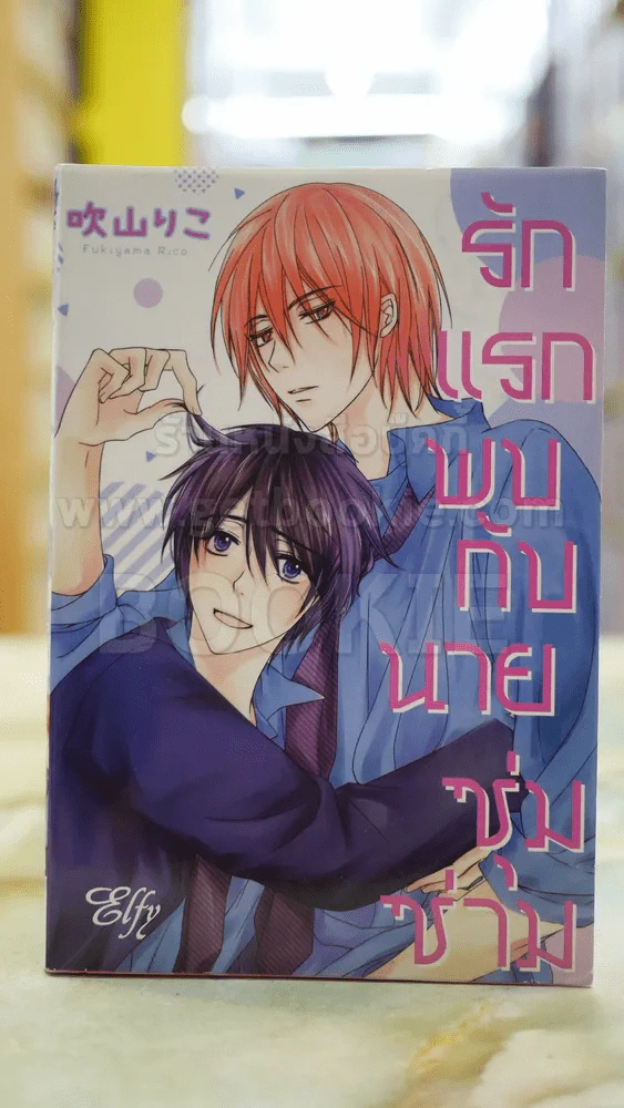 รักแรกพบกับนายซุ่มซ่าม รูปที่ 1