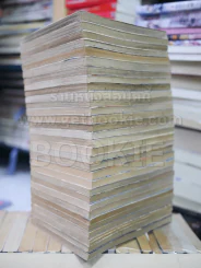 มืออสูรล่าปีศาจ 31 เล่มจบ รูปที่ 5