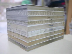 ขบวนการกิ๊ก 9 เล่มจบ รูปที่ 4