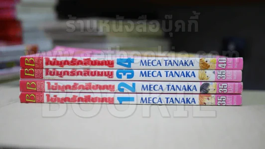 ไข่มุกรักสีชมพู 4 เล่มจบ รูปที่ 2