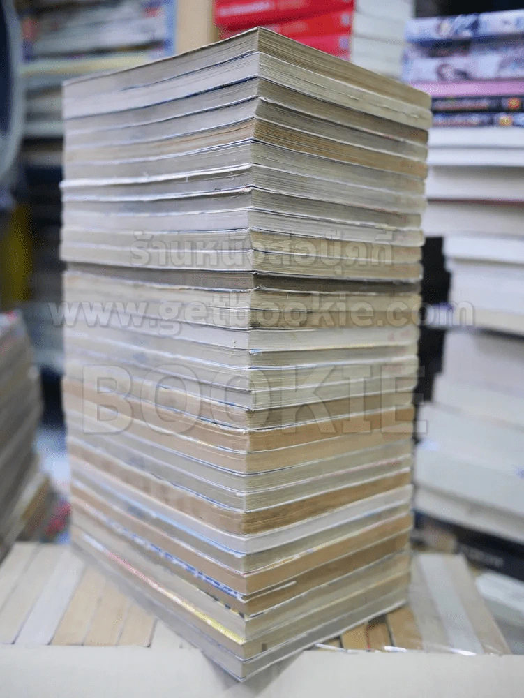 มืออสูรล่าปีศาจ 31 เล่มจบ รูปที่ 3