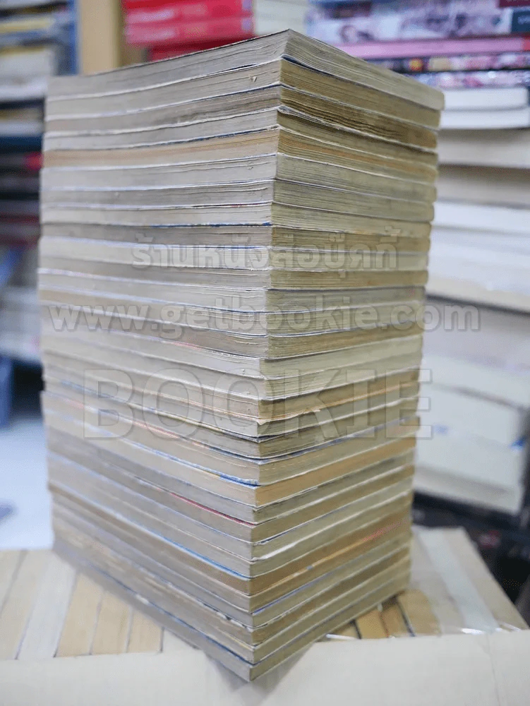 มืออสูรล่าปีศาจ 31 เล่มจบ รูปที่ 3