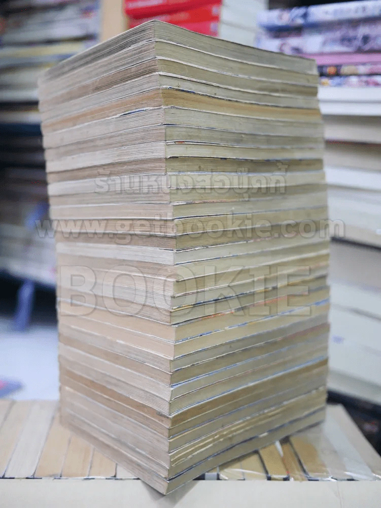 มืออสูรล่าปีศาจ 31 เล่มจบ รูปที่ 5