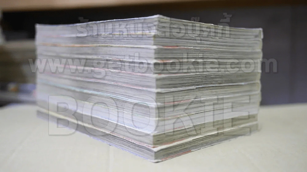 First Love 10 เล่มจบ รูปที่ 3