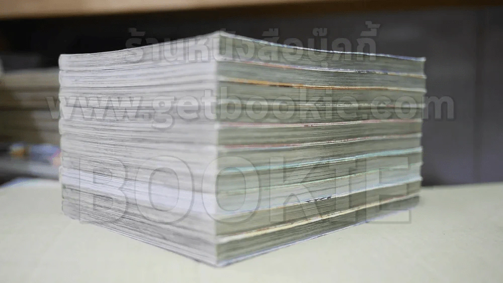 First Love 10 เล่มจบ รูปที่ 4