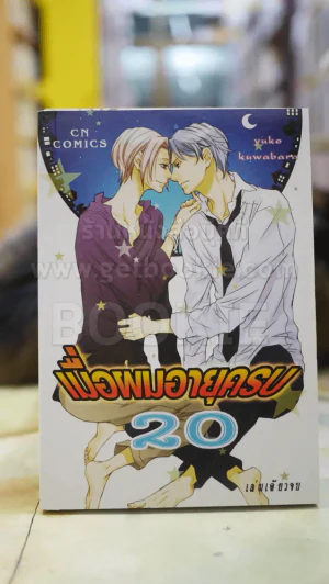 เมื่อผมอายุครบ 20 รูปที่ 1