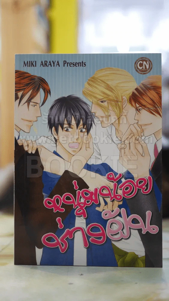 หนุ่มน้อยช่างฝัน รูปที่ 1