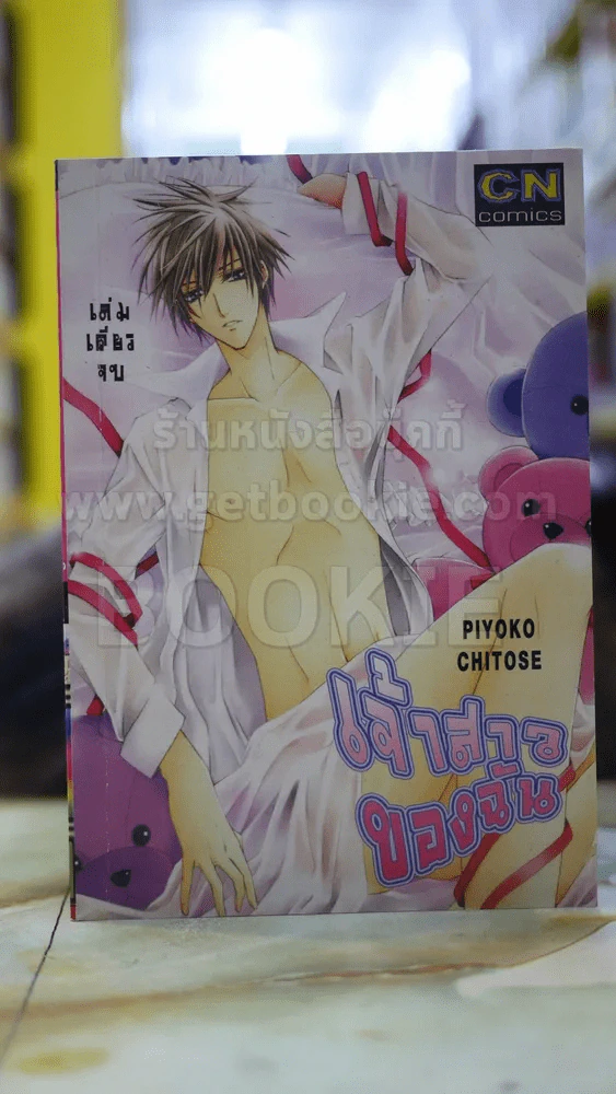 เจ้าสาวของฉัน รูปที่ 1