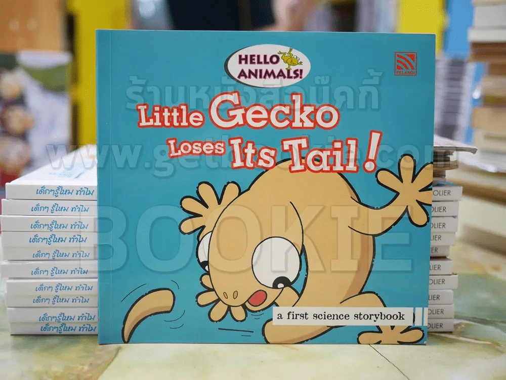 Little Gecko Loses Its Tail ! รูปที่ 1