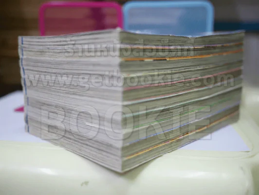 First Love 10 เล่มจบ รูปที่ 4
