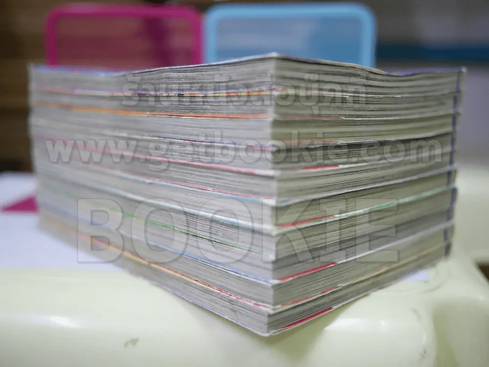 First Love 10 เล่มจบ รูปที่ 3