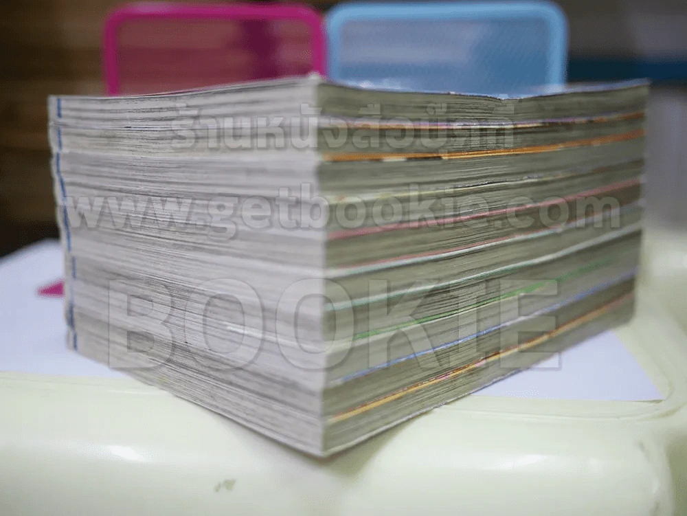 First Love 10 เล่มจบ รูปที่ 4