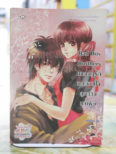 Bad Boy Brothers แหกกฎรักทดสอบใจลูกชายมาเฟีย รูปที่ 1