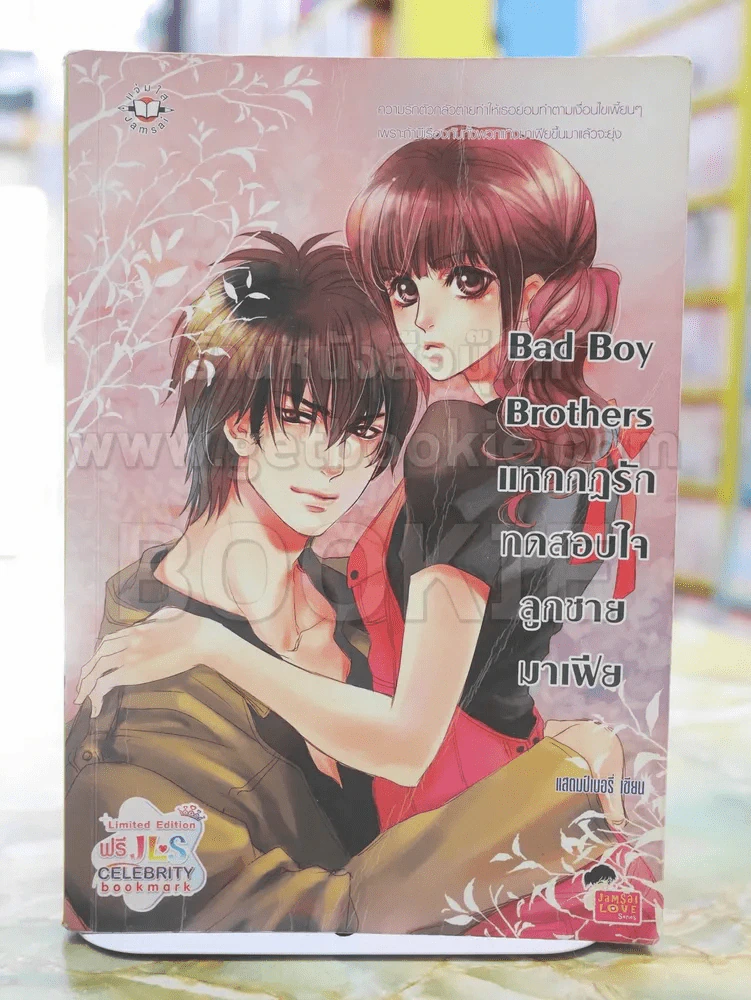 Bad Boy Brothers แหกกฎรักทดสอบใจลูกชายมาเฟีย รูปที่ 1