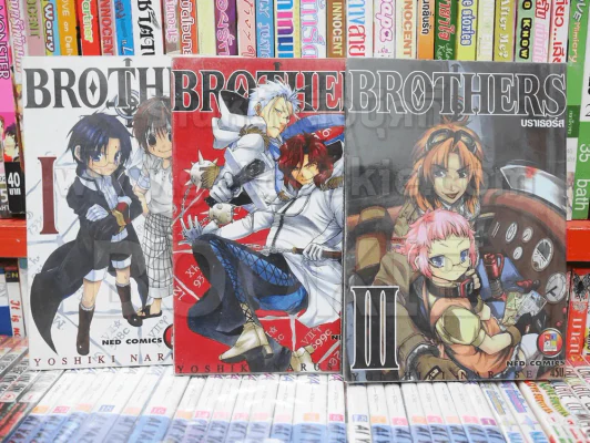 Brothers บราเธอร์ส 3 เล่มจบ รูปที่ 1