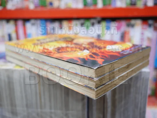 Burning Flame เพลิงนรกไฟชีวิต 3 เล่มจบ รูปที่ 3