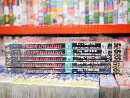 วีรบุรุษคนโฉด 5 เล่มจบ รูปที่ 2