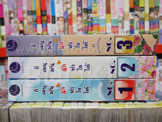 ก็คนมันรักทำไงได้ 3 เล่มจบ รูปที่ 2