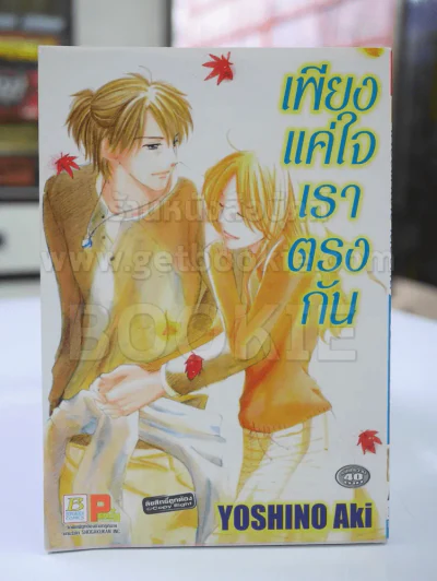เพียงแค่ใจเราตรงกัน รูปที่ 1