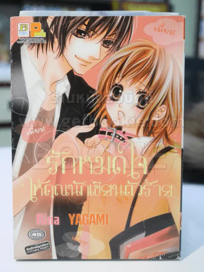 รักหมดใจให้คุณนักเขียนตัวร้าย รูปที่ 1