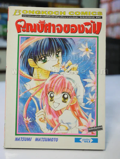 คุณปีศาจของฉัน รูปที่ 1