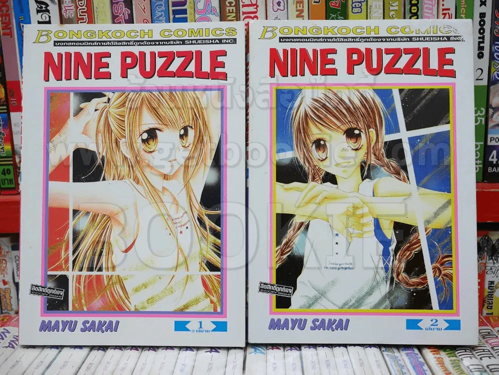 Nine Puzzle 2 เล่มจบ รูปที่ 1