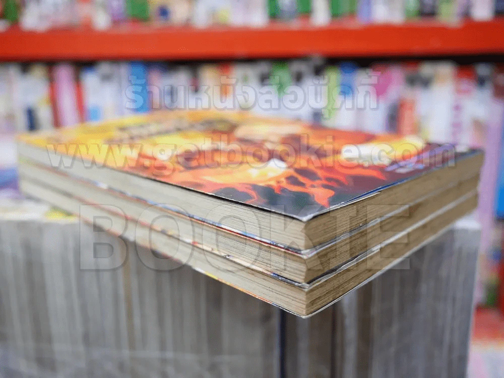 Burning Flame เพลิงนรกไฟชีวิต 3 เล่มจบ รูปที่ 3