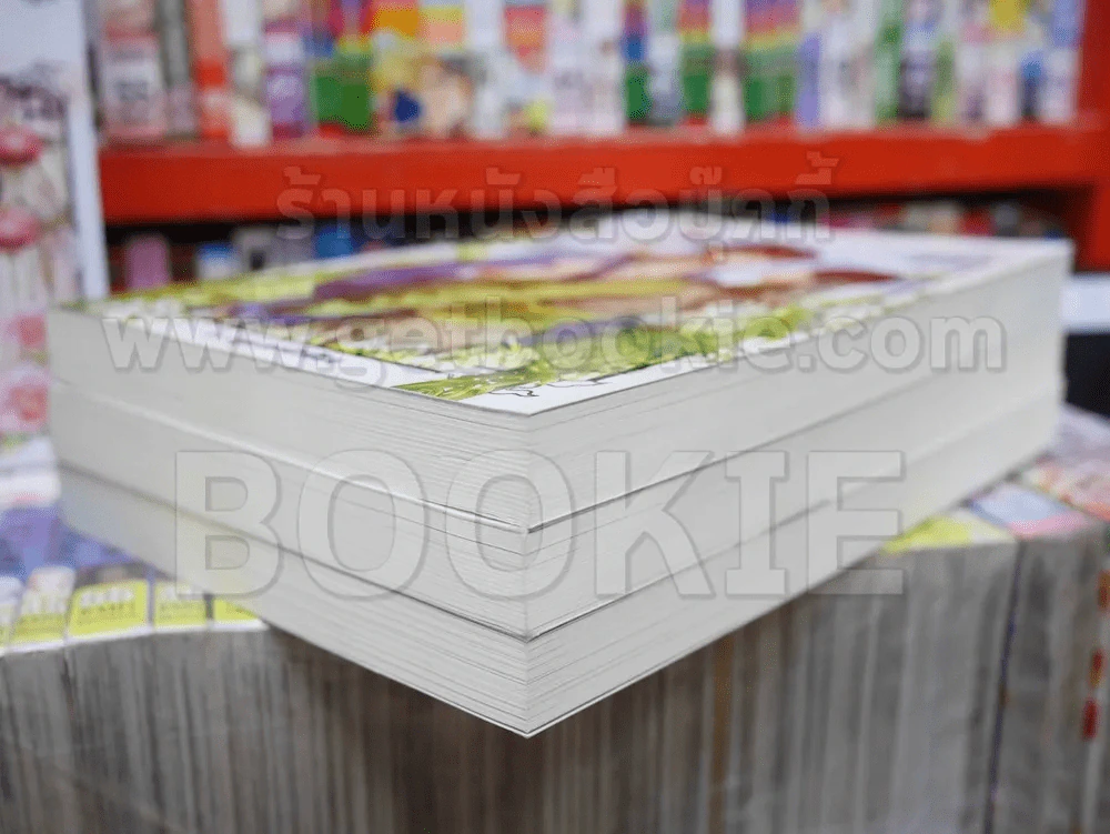 ลำนำร้อยใจ 3 เล่มจบ BOXSET รูปที่ 3