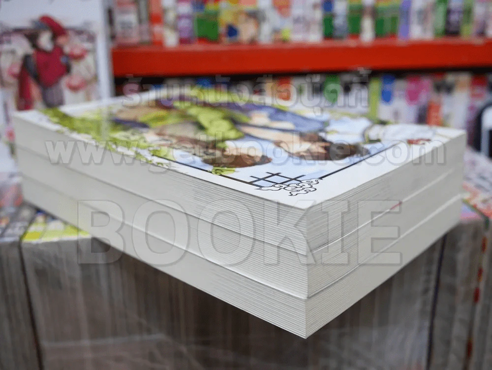 ลำนำร้อยใจ 3 เล่มจบ BOXSET รูปที่ 2