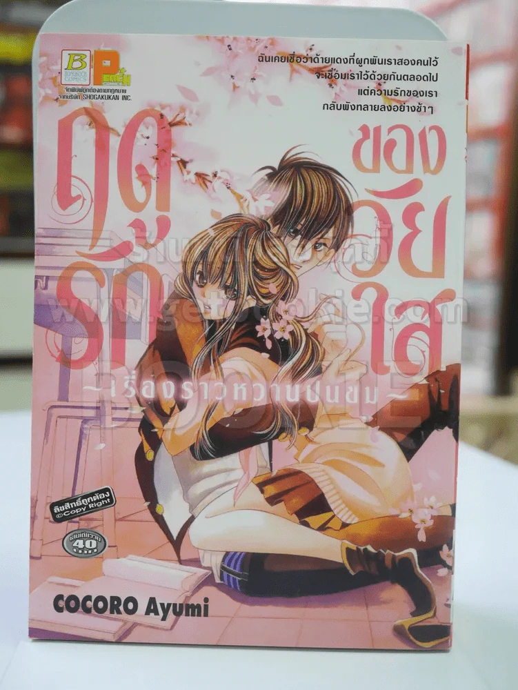 ฤดูของวัยใส เรื่องราวปนขม รูปที่ 1