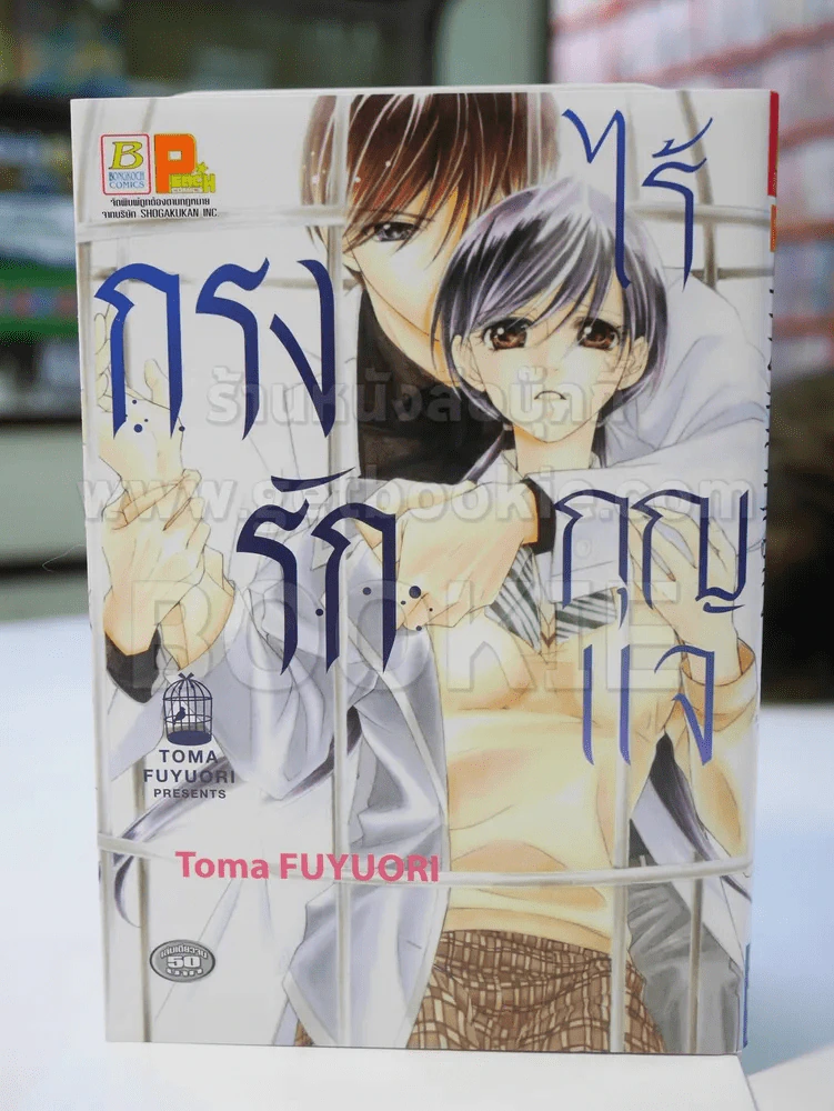 กรงรักไร้กุญแจ รูปที่ 1
