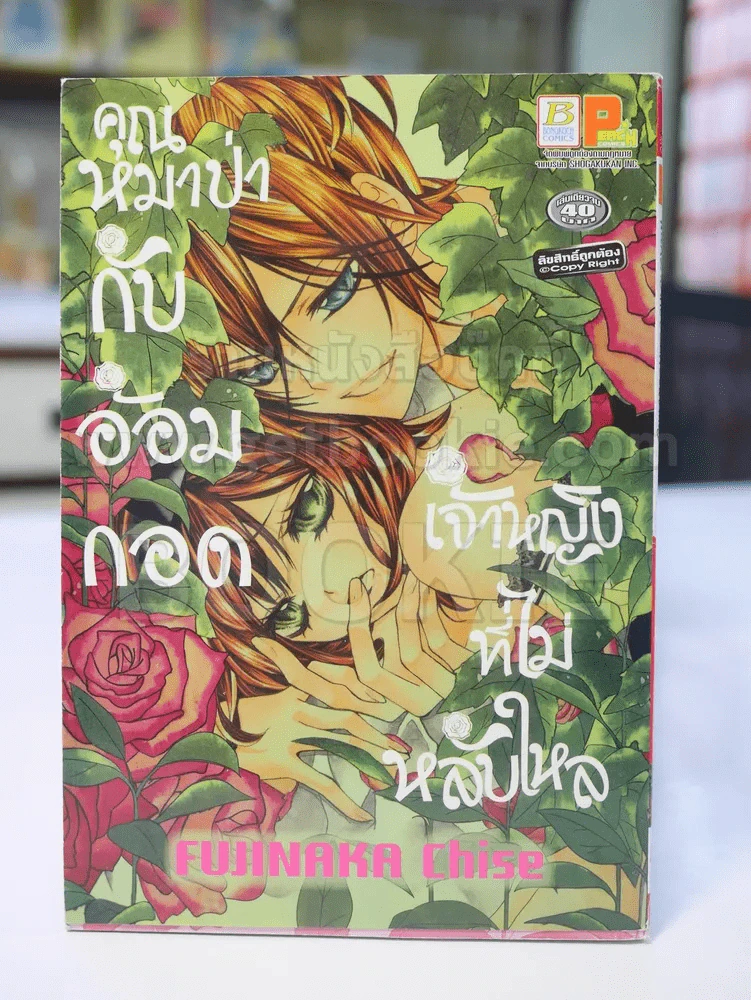คุณหมาป่ากับอ้อมกอดเจ้าหญิงที่ไม่หลับไหล รูปที่ 1