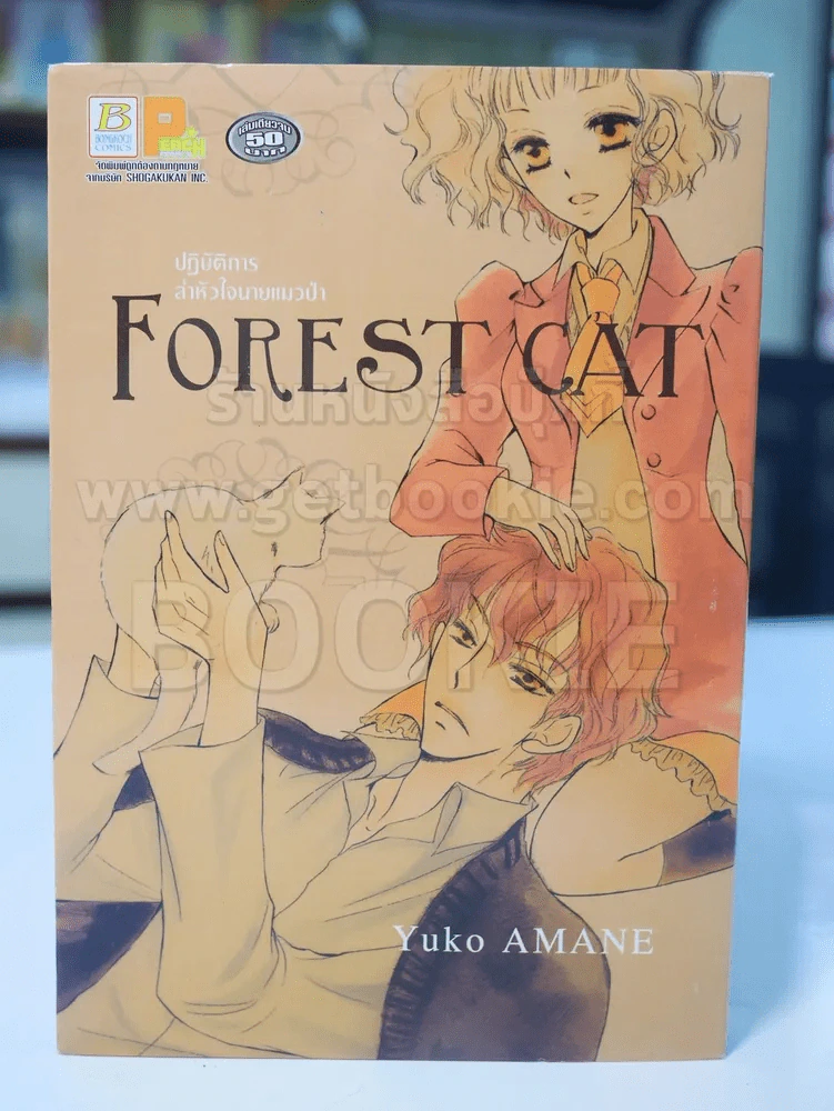 Forest Cat ปฎิบัติการล่าหัวใจนายแมวป่า รูปที่ 1
