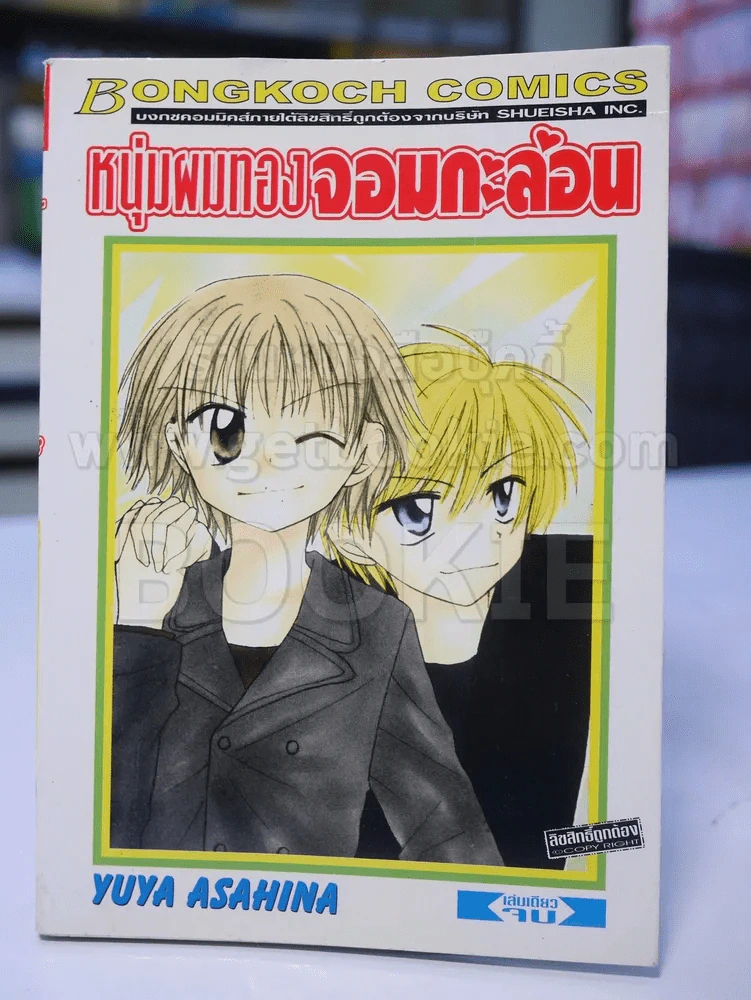 หนุ่มผมทองจอมกะล่อน รูปที่ 1