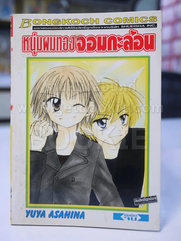 หนุ่มผมทองจอมกะล่อน รูปที่ 1