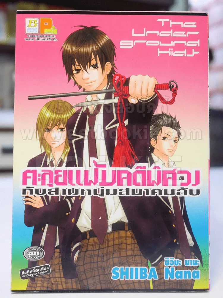ตะลุยแฟ้มคดีพิศวงกับสามหนุ่มสมาคมลับ รูปที่ 1