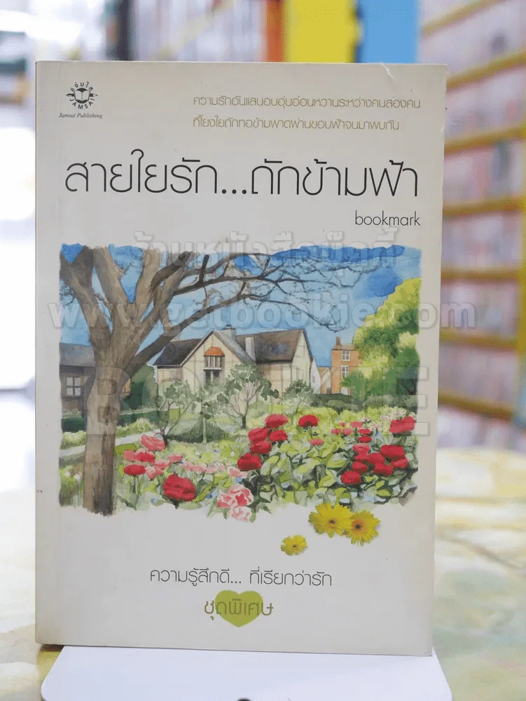 สายใยรัก...ถักข้ามฟ้า รูปที่ 1
