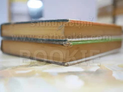 แม่ปลาหลด 2 เล่มจบ - รพีพร รูปที่ 4